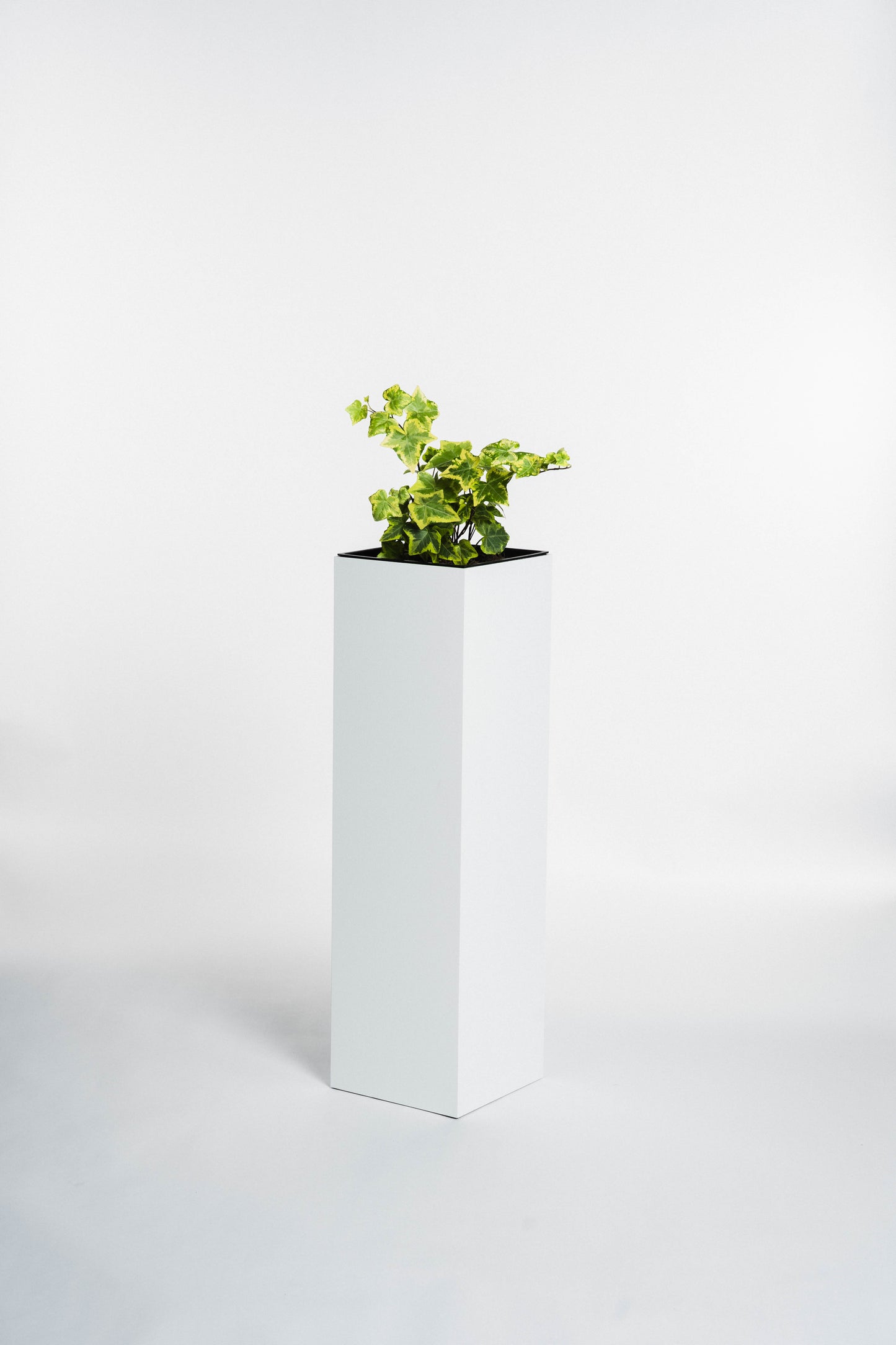 Blumensäule wetterfest in der Farbe Weiß Matt - 3 Größen zur Auswahl